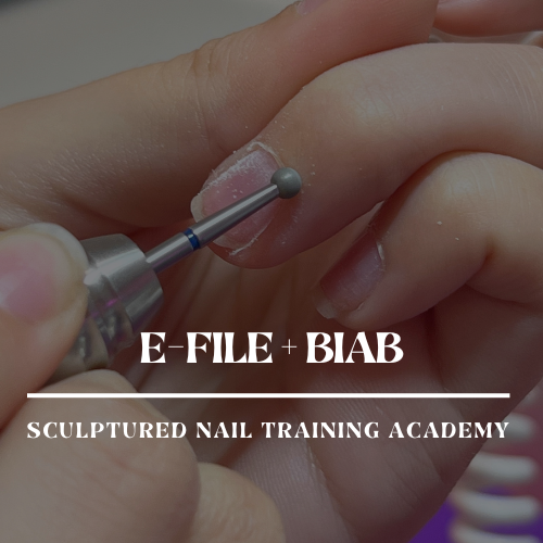 E-FILE + BIAB | Pro Course